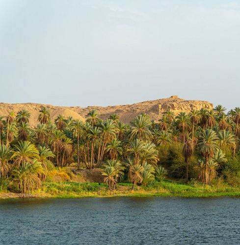 East and West Nile Banks Tour